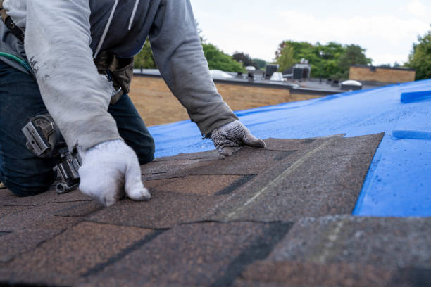 Best Commercial Roofing Services  in Edgerton, KS