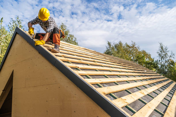 Professional Roofing Contractor in Edgerton, KS