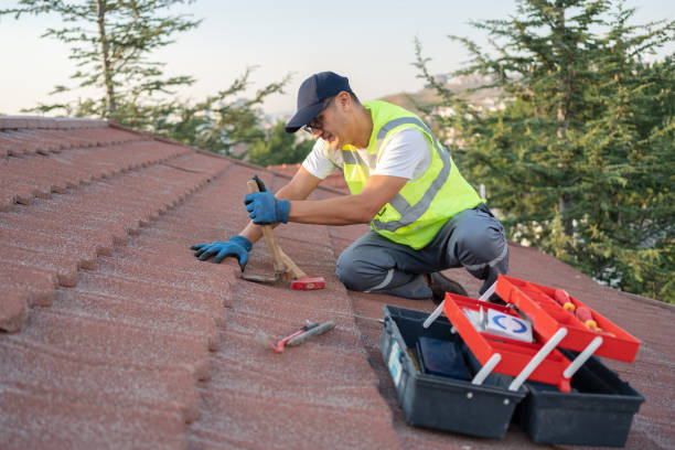 Best Storm Damage Roof Repair  in Edgerton, KS