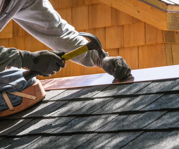Best Roof Gutter Cleaning  in Edgerton, KS